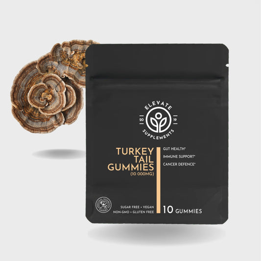 Turkey Tail Gummies - Elevate Supplements