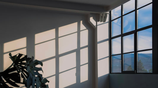 Soft window sunlight casting shadows on a wall beside a monstera plant