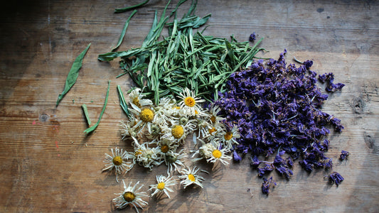 Dried chamomile flowers, lavender and green herbs on dark rustic wood