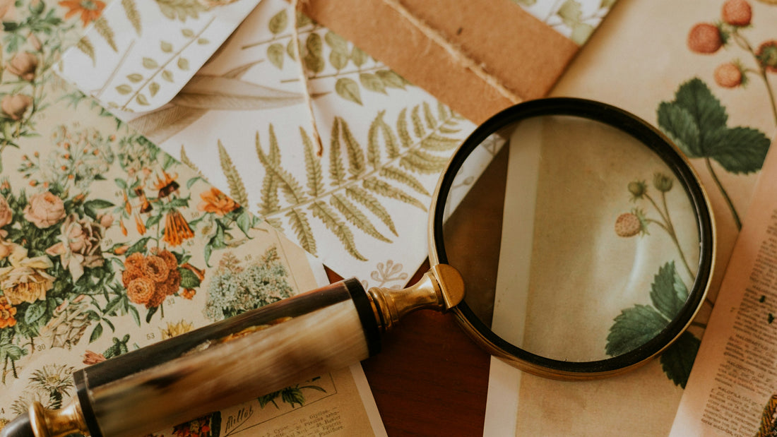 Brass magnifying glass resting on vintage botanical prints